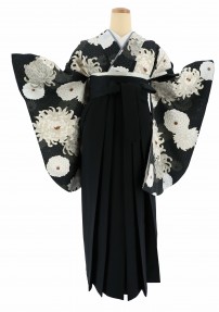 卒業式着物[モダン]黒にグレー白の菊柄No.807